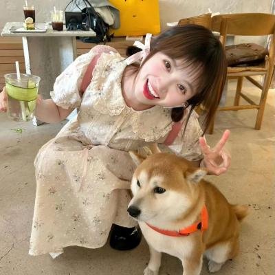 齐格菲歌舞团封面