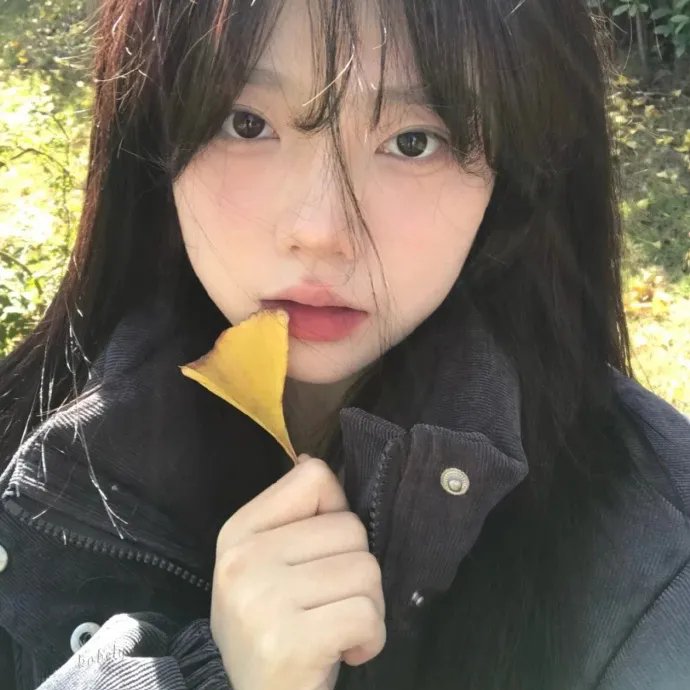 山月不知心底事封面
